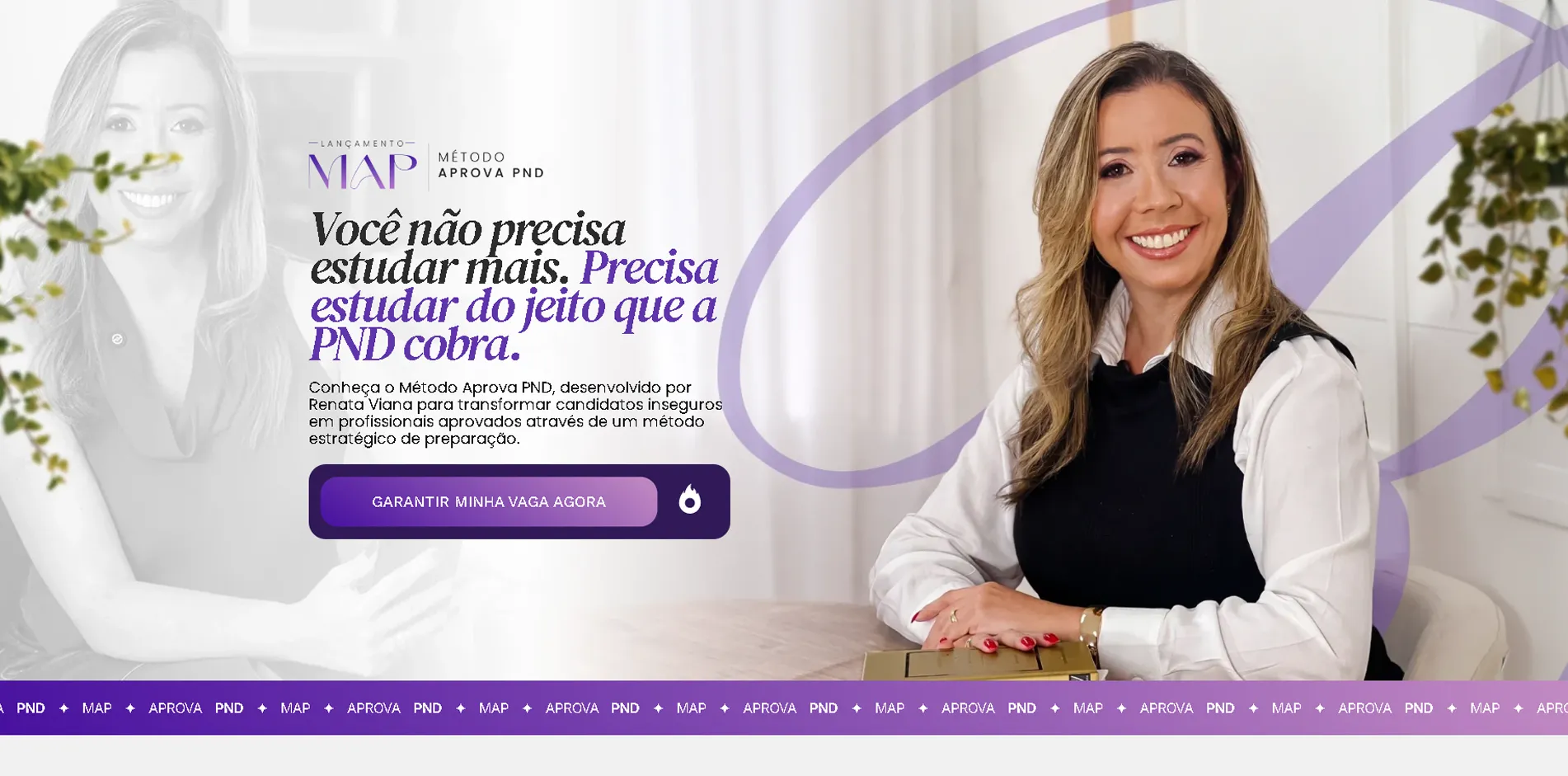 HERO RENATA V